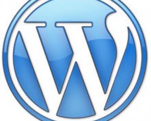 wordpress logo, seo